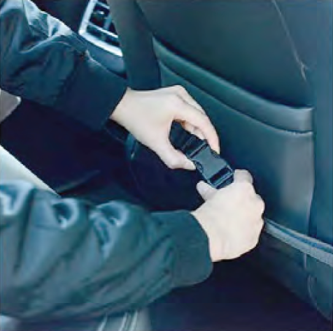 Dog seat base strap Dog seat base strap