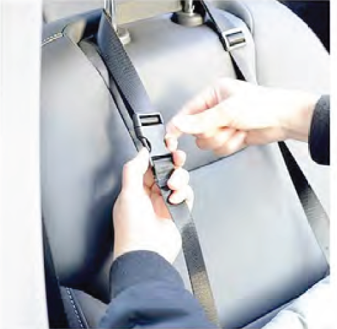 Dog seat top strap Dog seat top strap